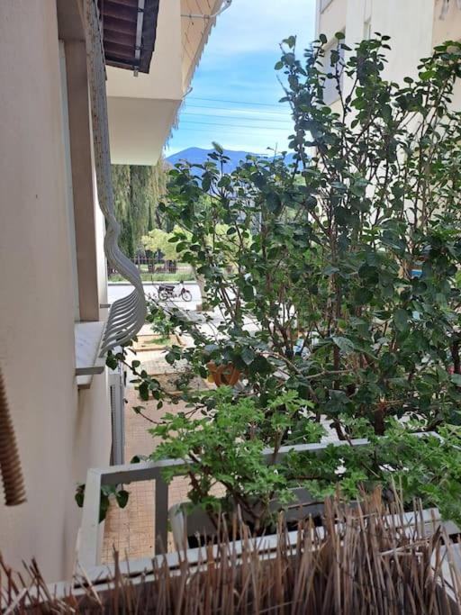 Δίπλα Στο Πάρκο Leilighet Kalamáta Eksteriør bilde